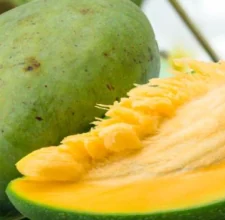 African mango fruit halved